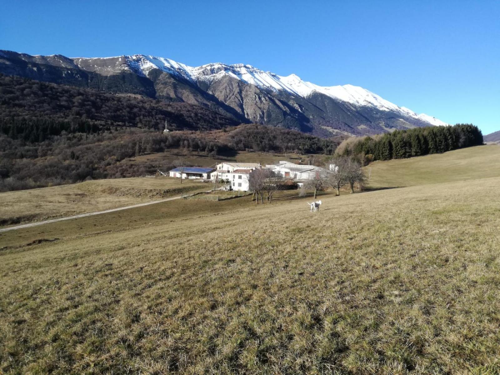 Agriturismo Preele Villa Ferrara di Monte Baldo Exterior foto